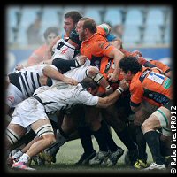 Zebre Benetton Treviso 